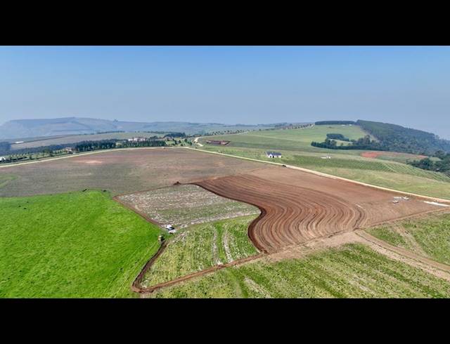 FARM FOR SALE IN MOUNT VERDE